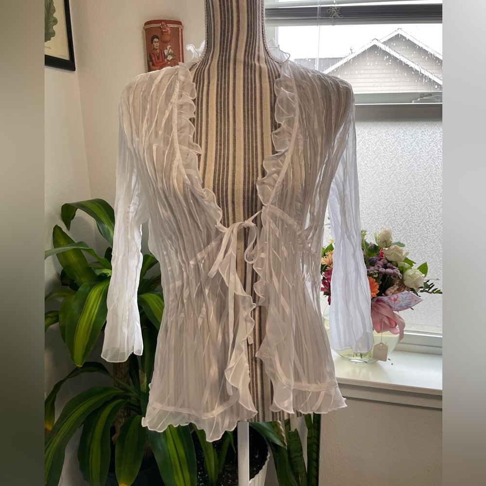 RETRO VINTAGE NOTIONS DAINTY COTTAGECORE SHEER RUFFLED BLOUSE